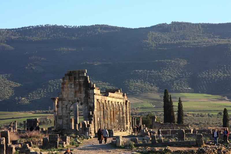 153-Volubilis,29 dicembre 2013.JPG